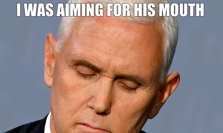 MEME: Mike Pence Fly Thoughts
